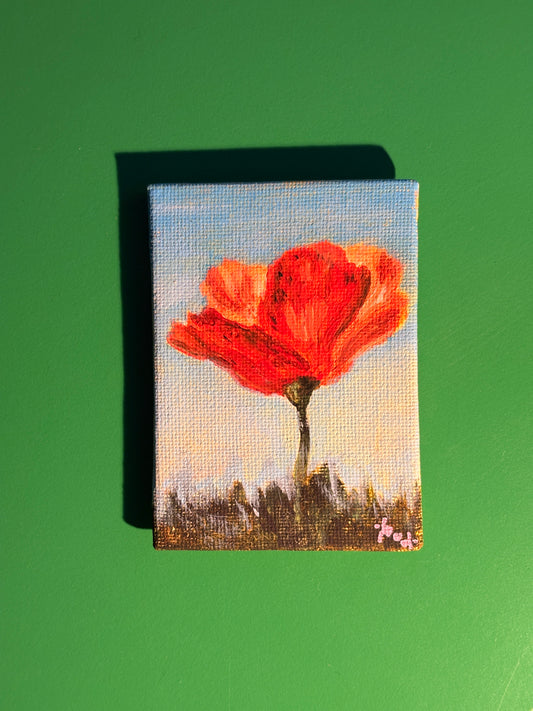 Mini-toiles magnets