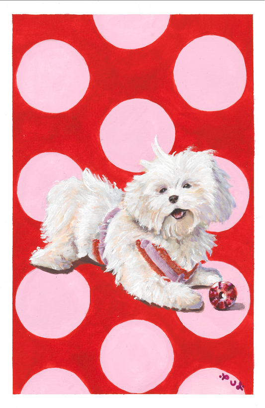 Chichou - chien 01