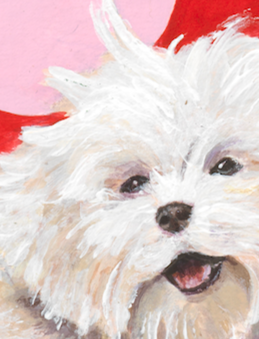 Chichou - chien 01
