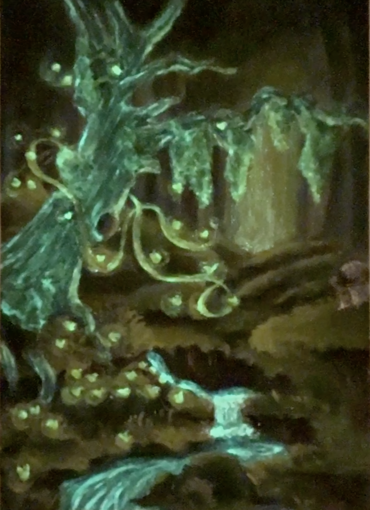 Forêt enchantée