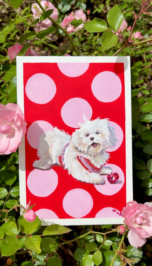 Chichou - chien 01